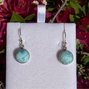 Larimar Fish Hook Earrings